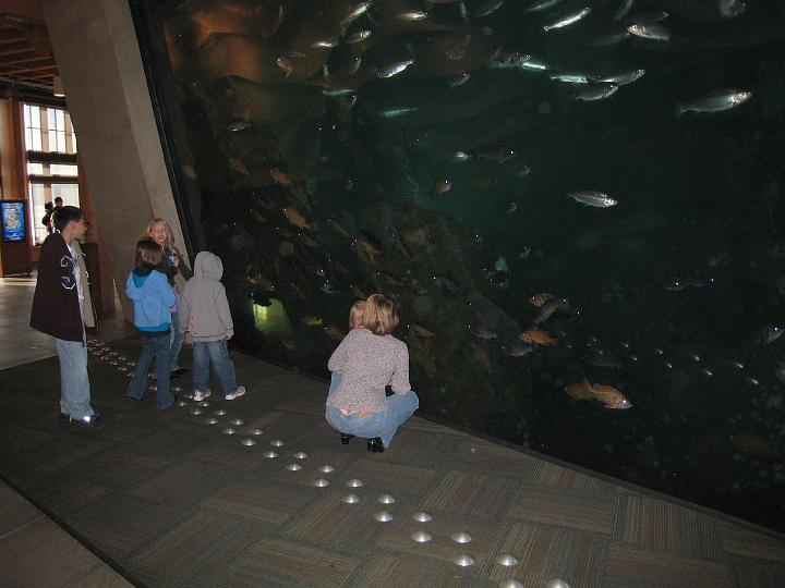 Seattle Aquarium 03.JPG